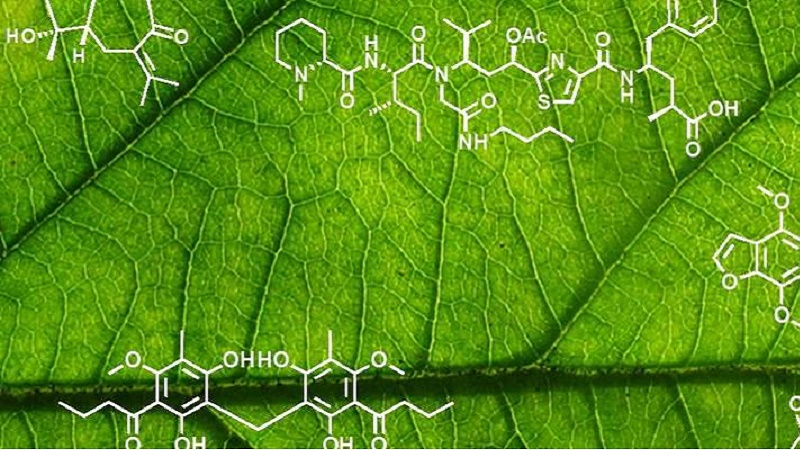 Fundamentals of Plant Biochemistry (1+1)_CoA Vkra_2023