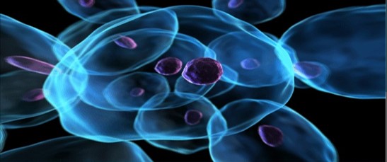 MBB- 503 Molecular Cell Biology(3+0) 2023 SEM I
