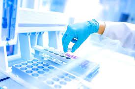MBB 504 Techniques in Molecular Biology I (0+3)2023 SEM I