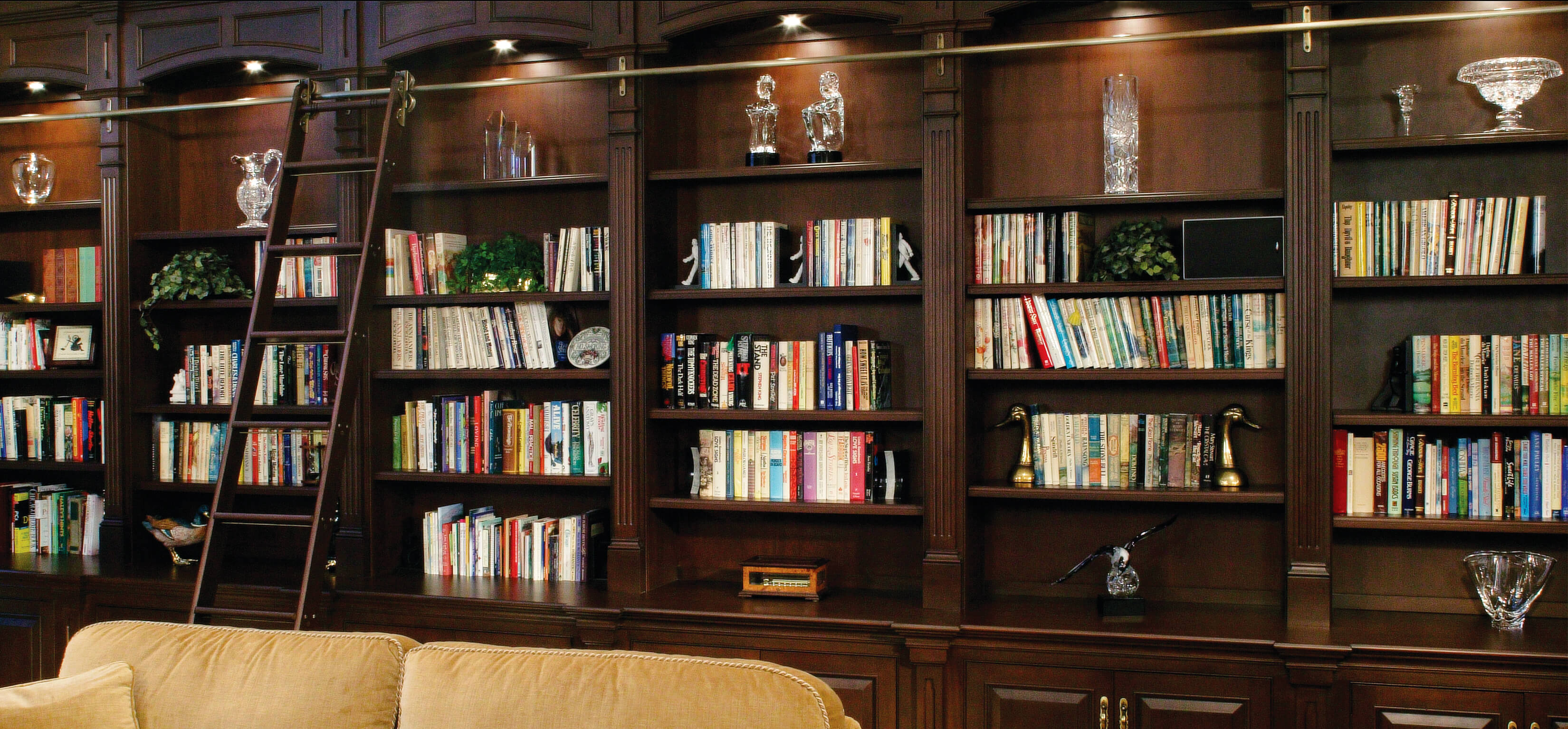  PGS 501  LIBRARY AND INFORMATION SERVICES (1+0)