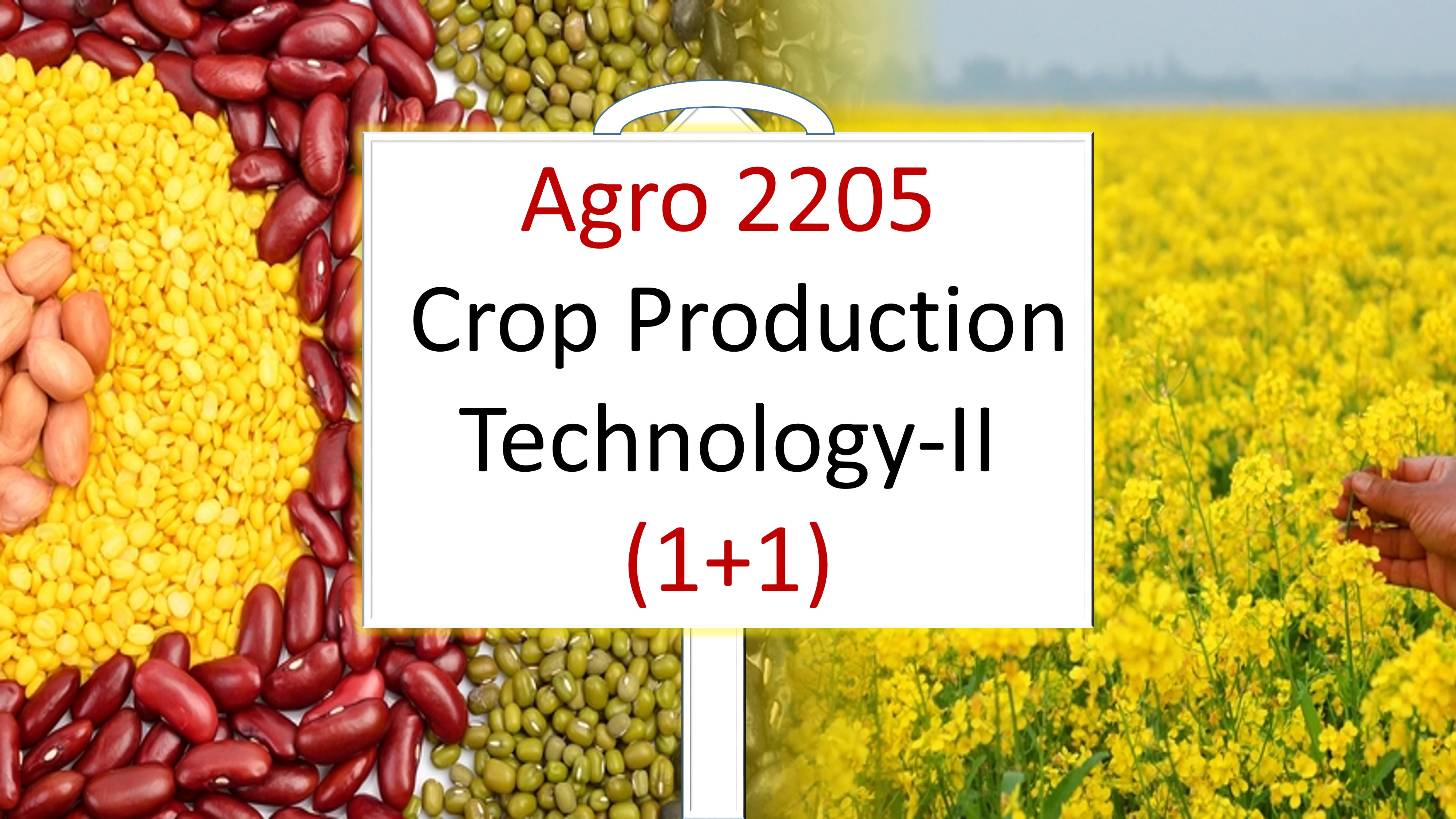 Agro 2205 Crop production Technology-II (1+1) Semester 4/ 2018 UG (C & D Batches)